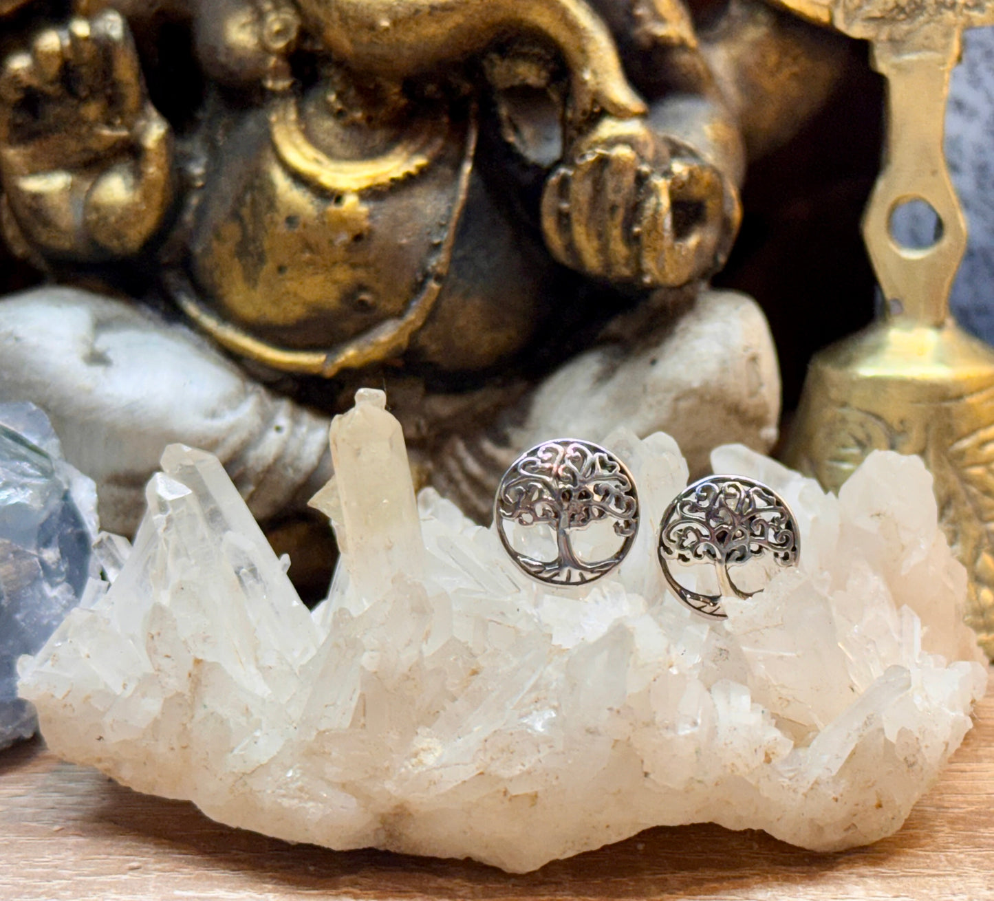 Boucles d’oreilles clou Arbre de vie