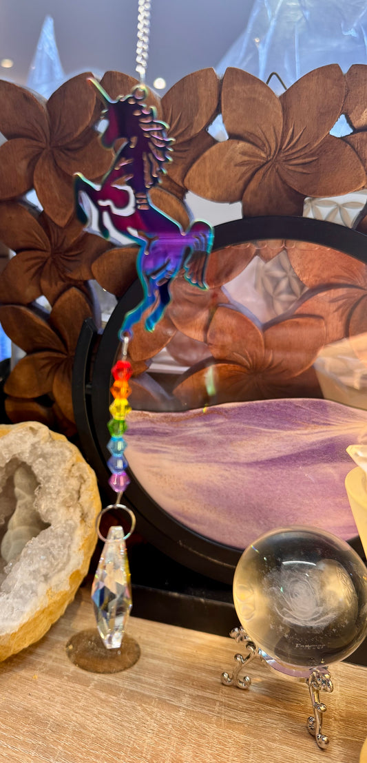 Capteur Solaire Licorne