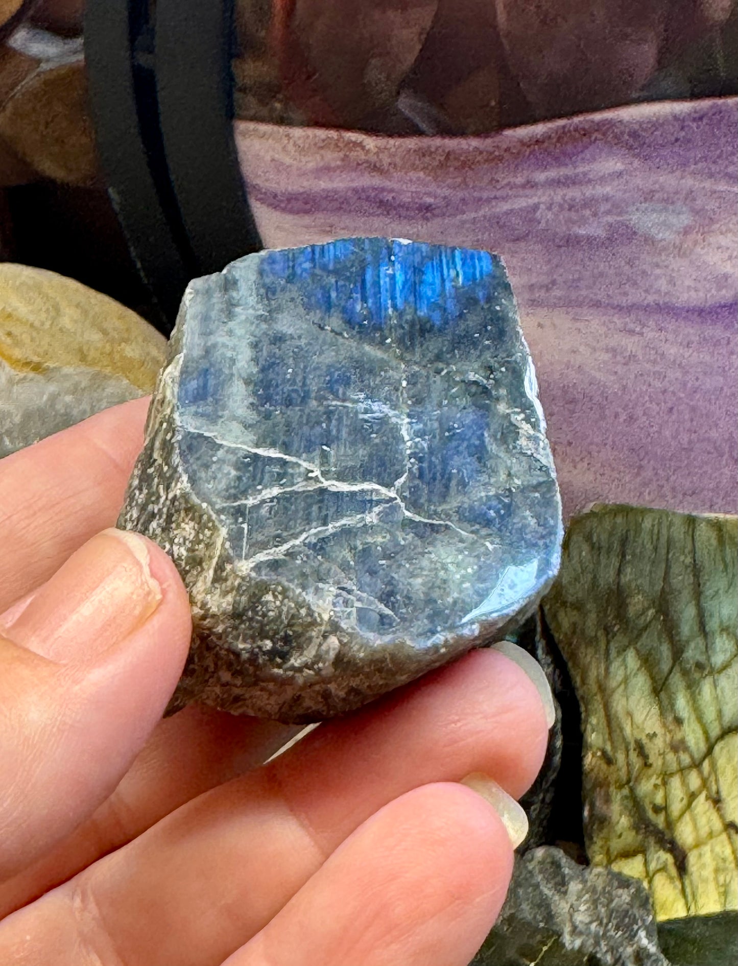Labradorite une face polie
