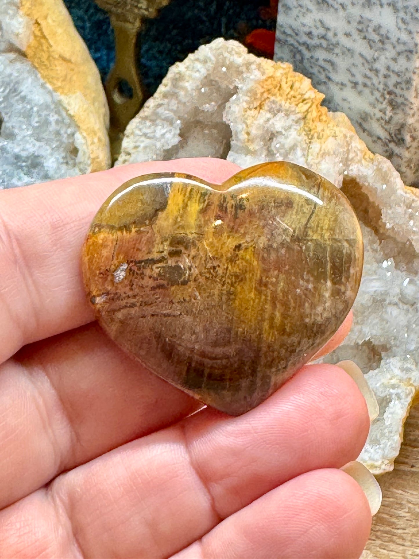Cœur en bois fossile
