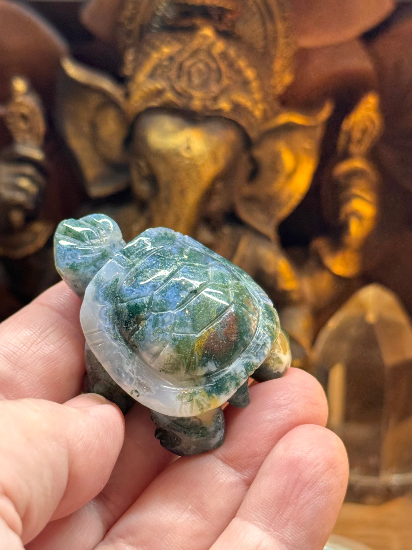 Statuettes de tortue