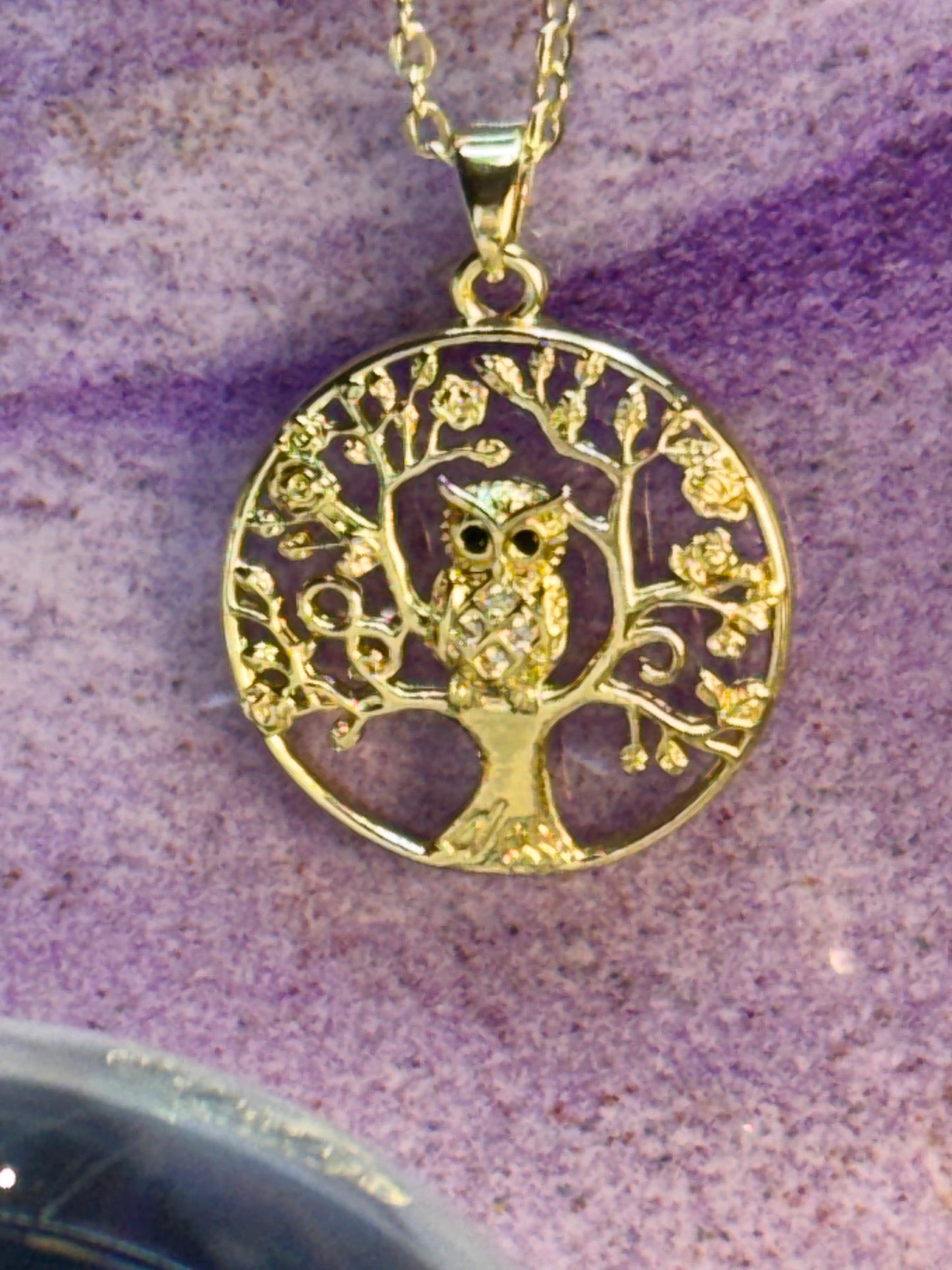 Médaille Chouette et chaîne dorée