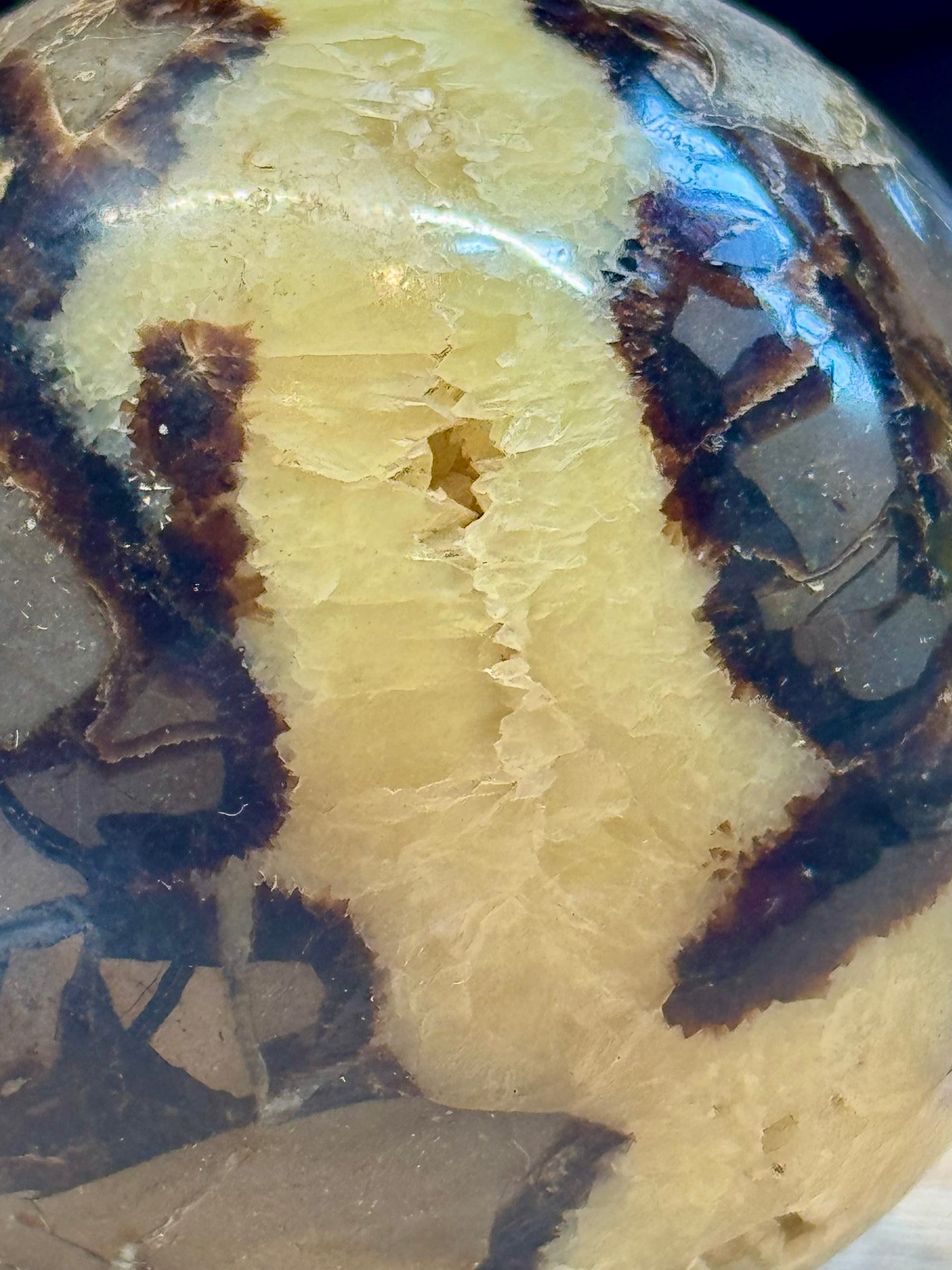 Sphère de Septaria Sauvage