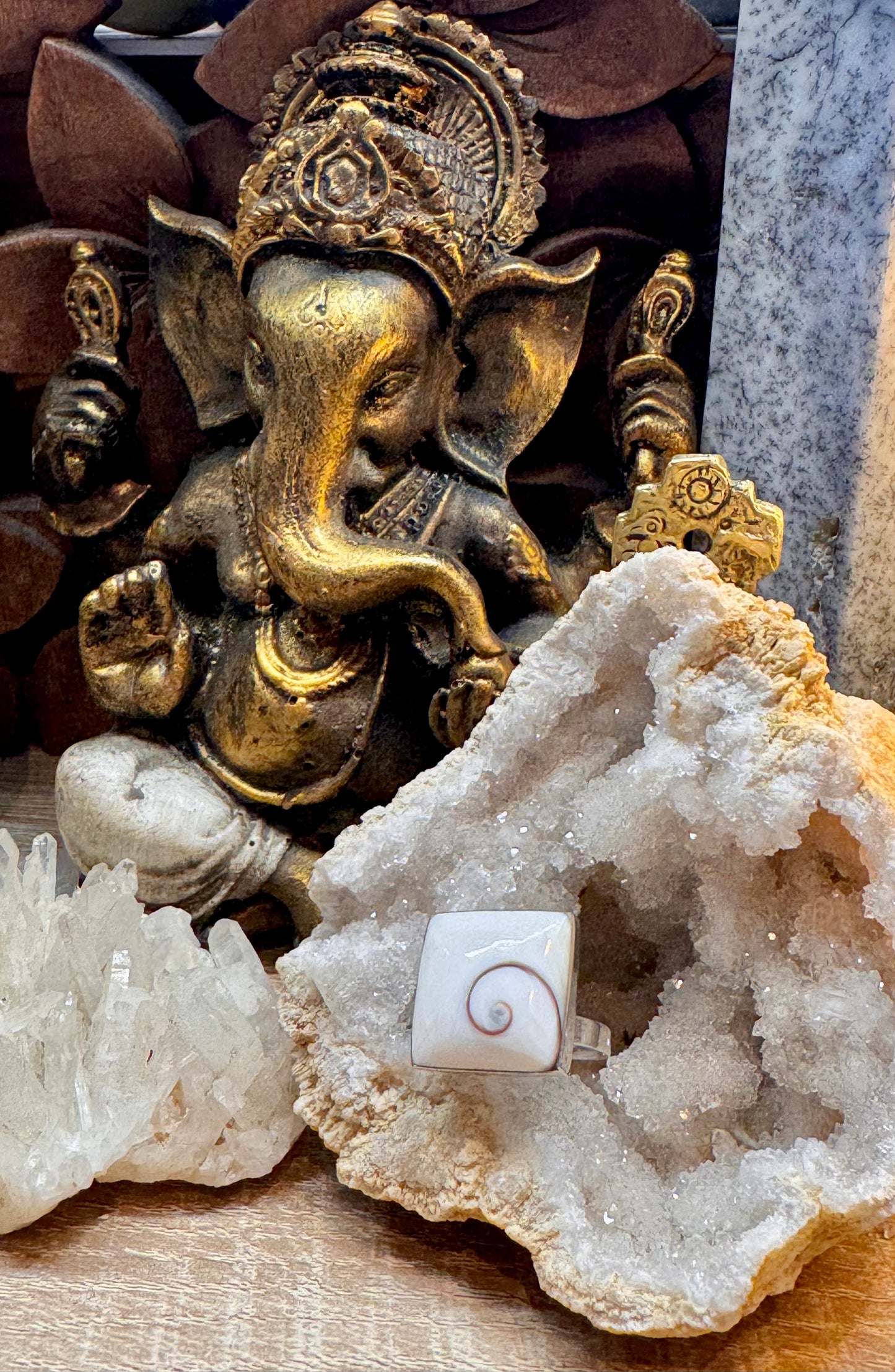 Bague Œil de Shiva T53 ajustable
