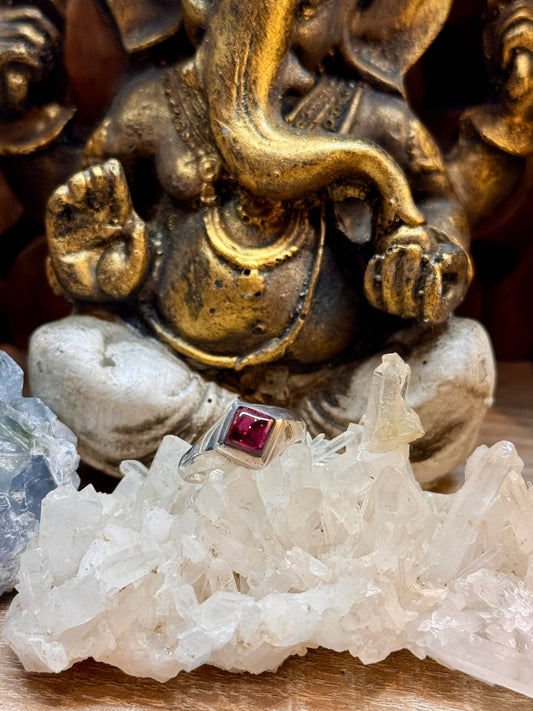 Bague Grenat T56