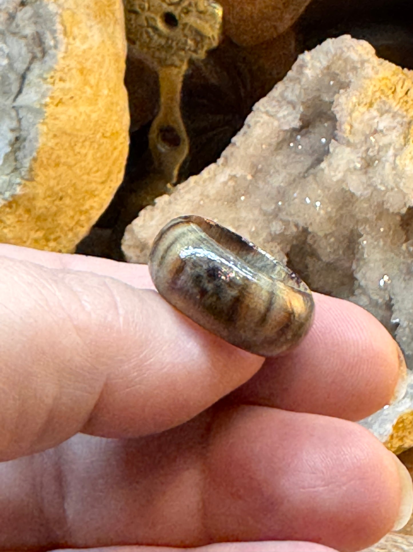 Bague fantaisie en bois