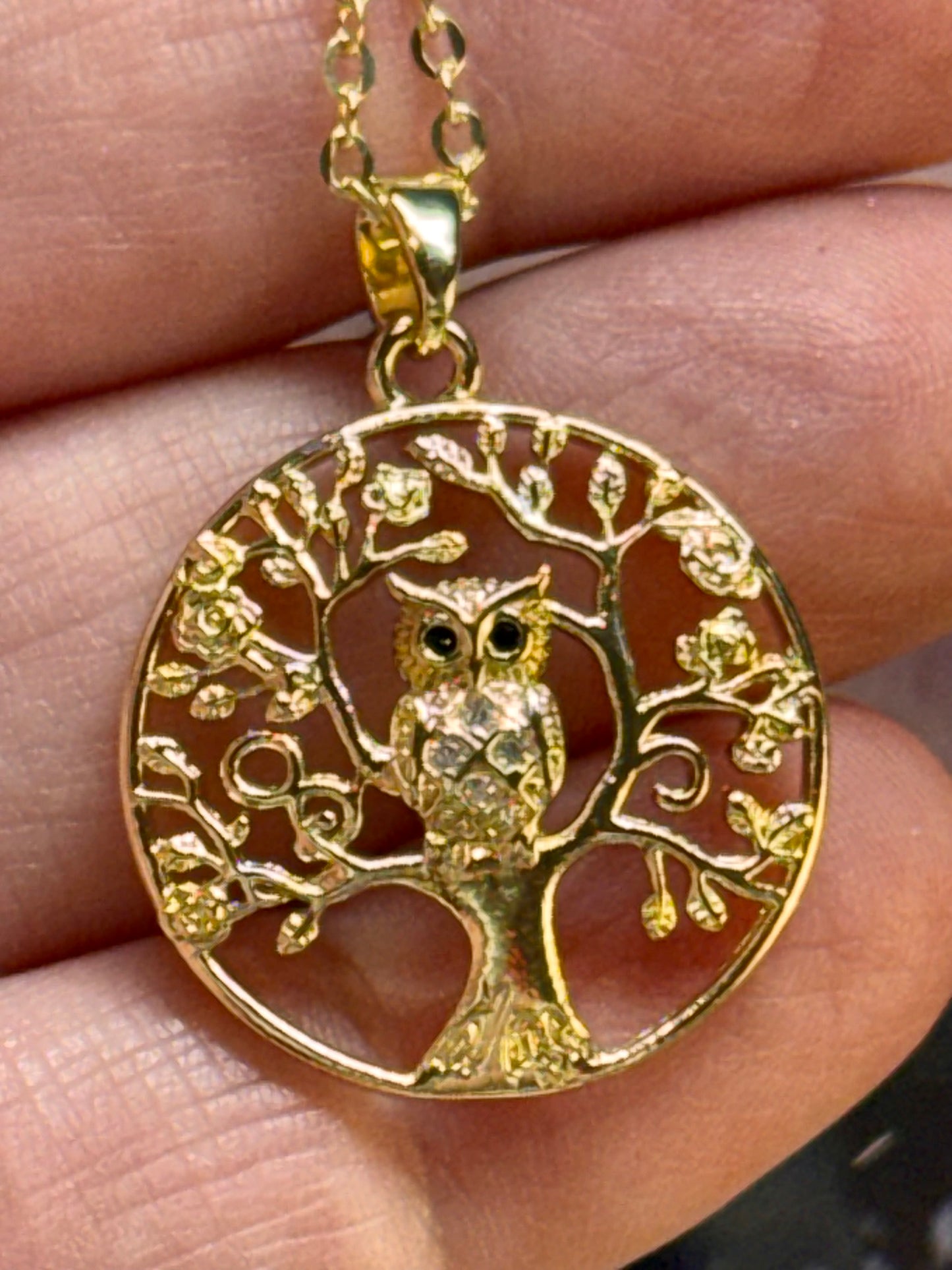 Médaille Chouette et chaîne dorée