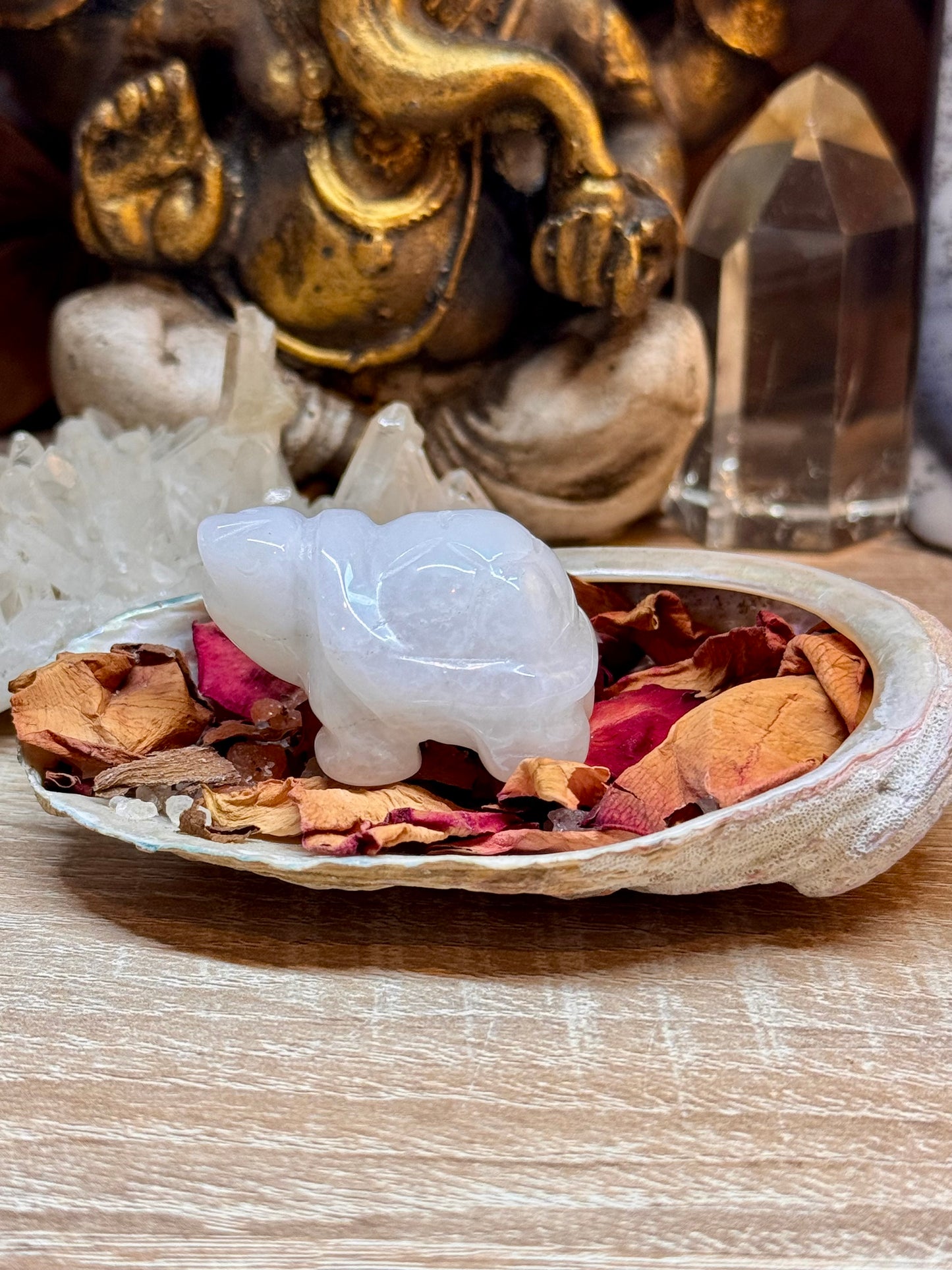 Statuettes de tortue