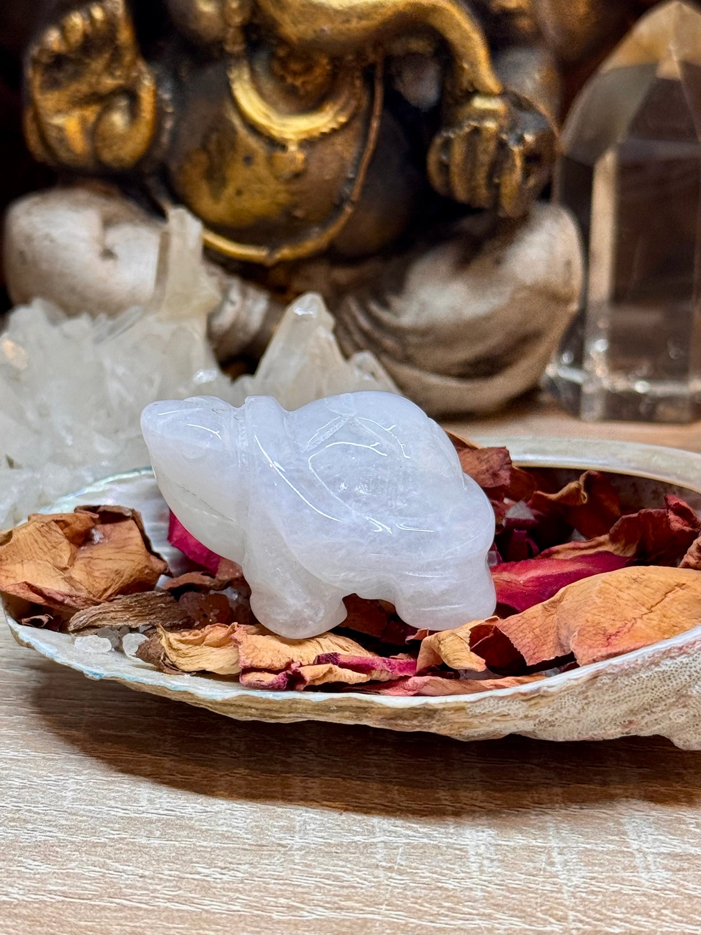 Statuettes de tortue