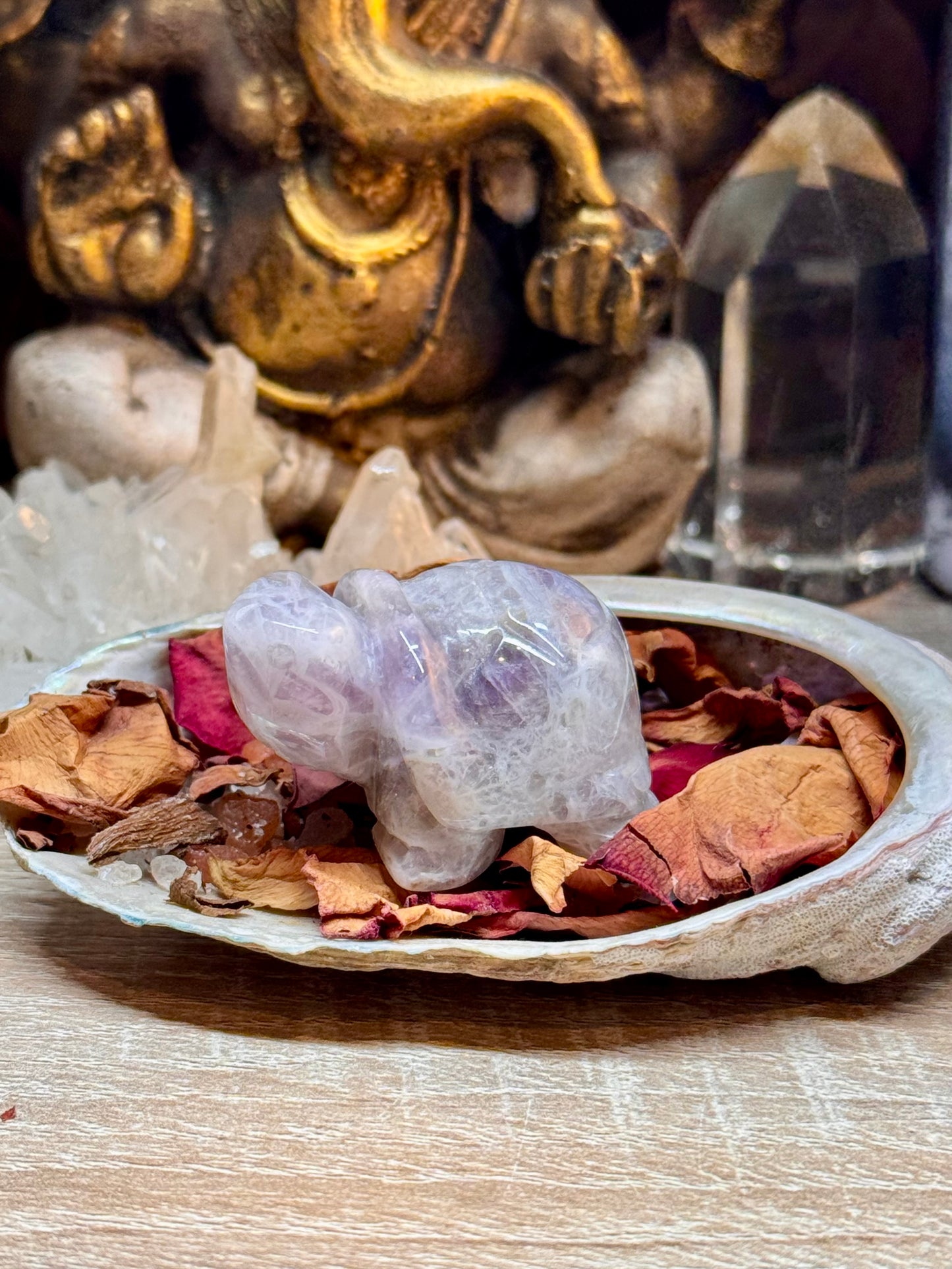 Statuettes de tortue