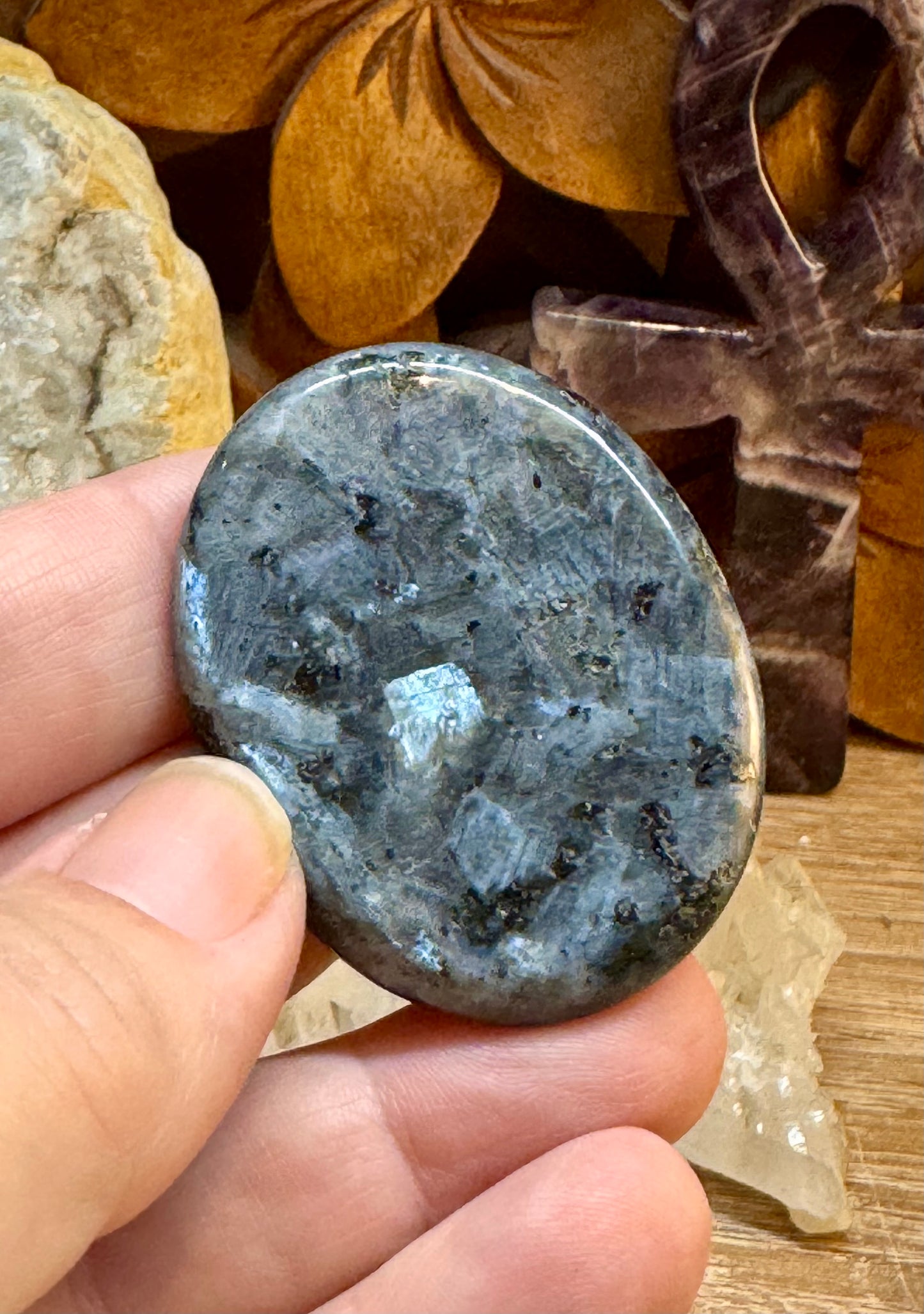 Galets gravés avec animaux