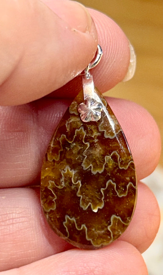 Pendentif d’ammonite
