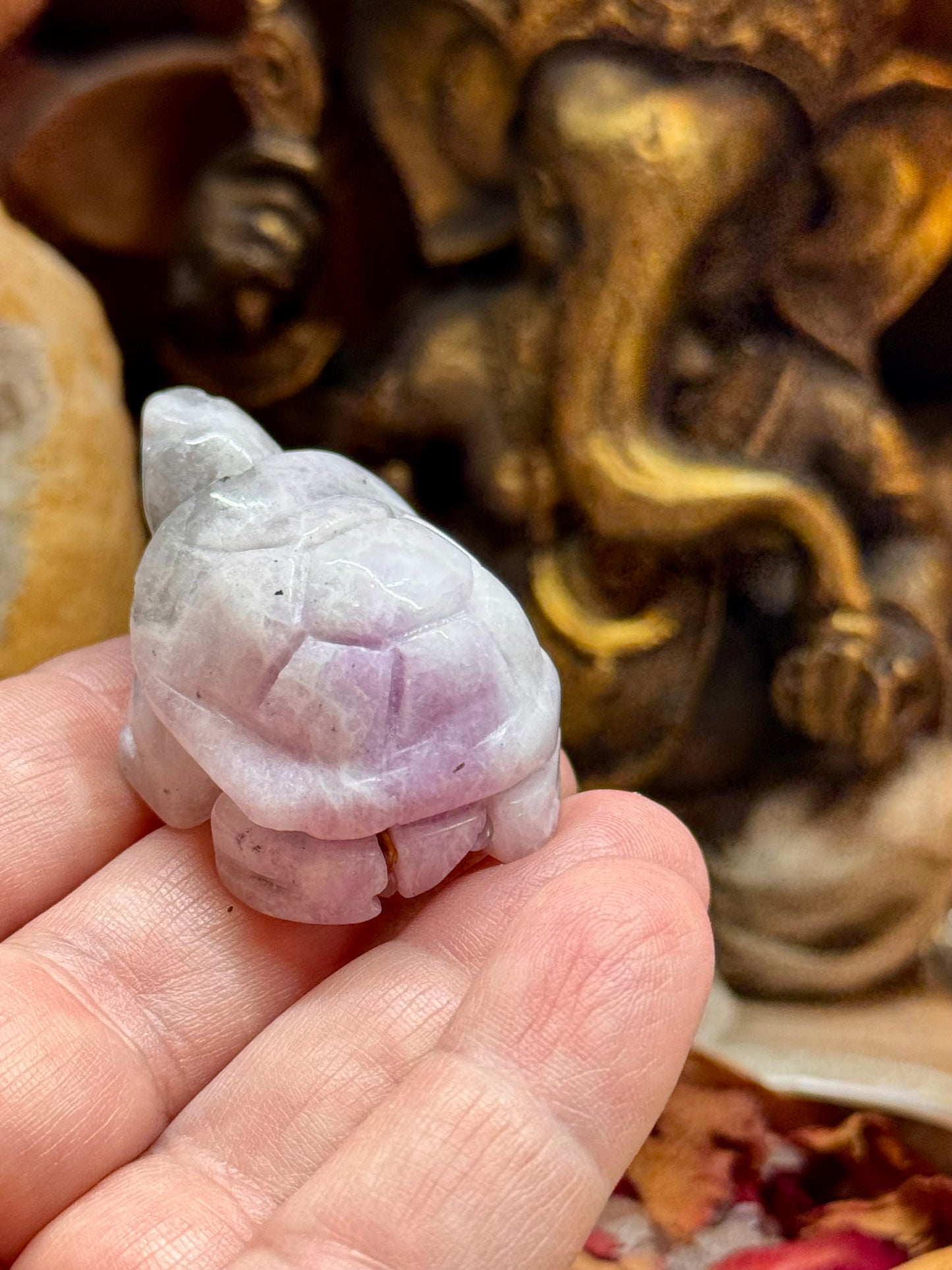 Statuettes de tortue