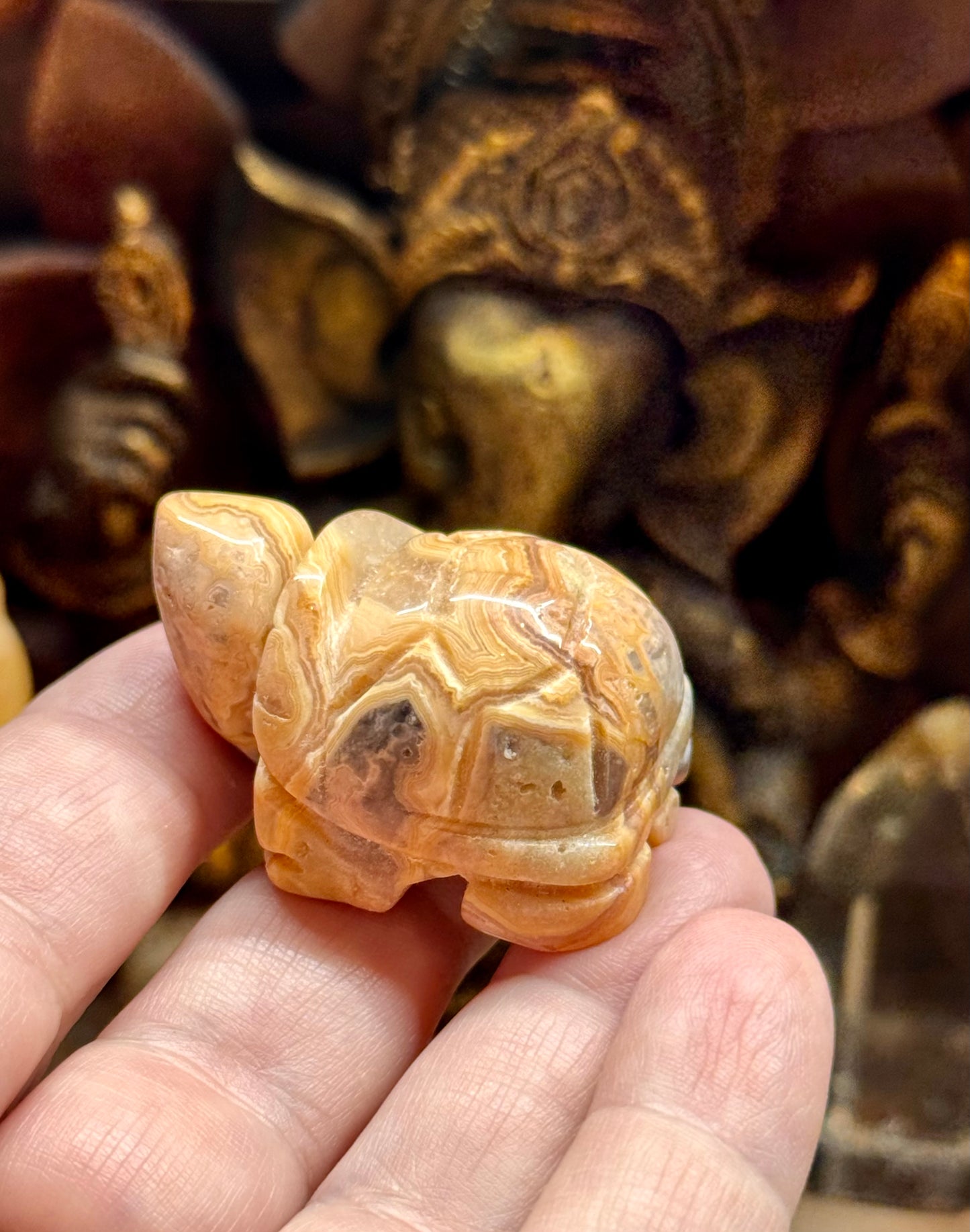 Statuettes de tortue