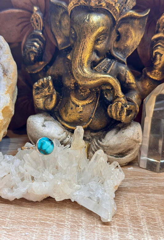 Bague en turquoise T55