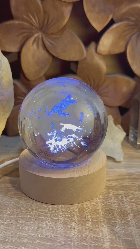 Boule de cristal avec tortues 3D