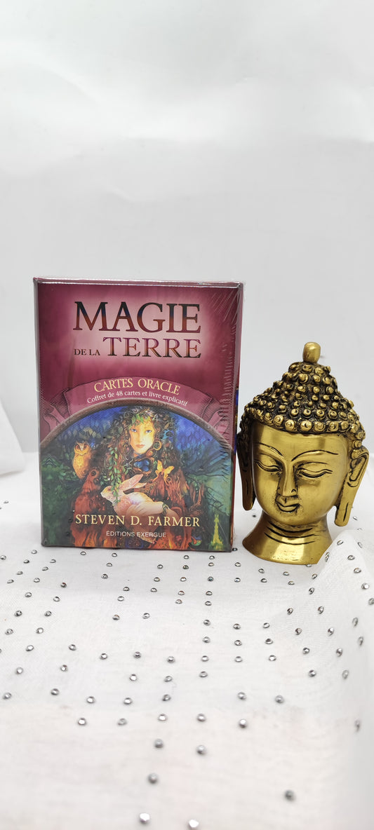 Oracle Magie de la Terre